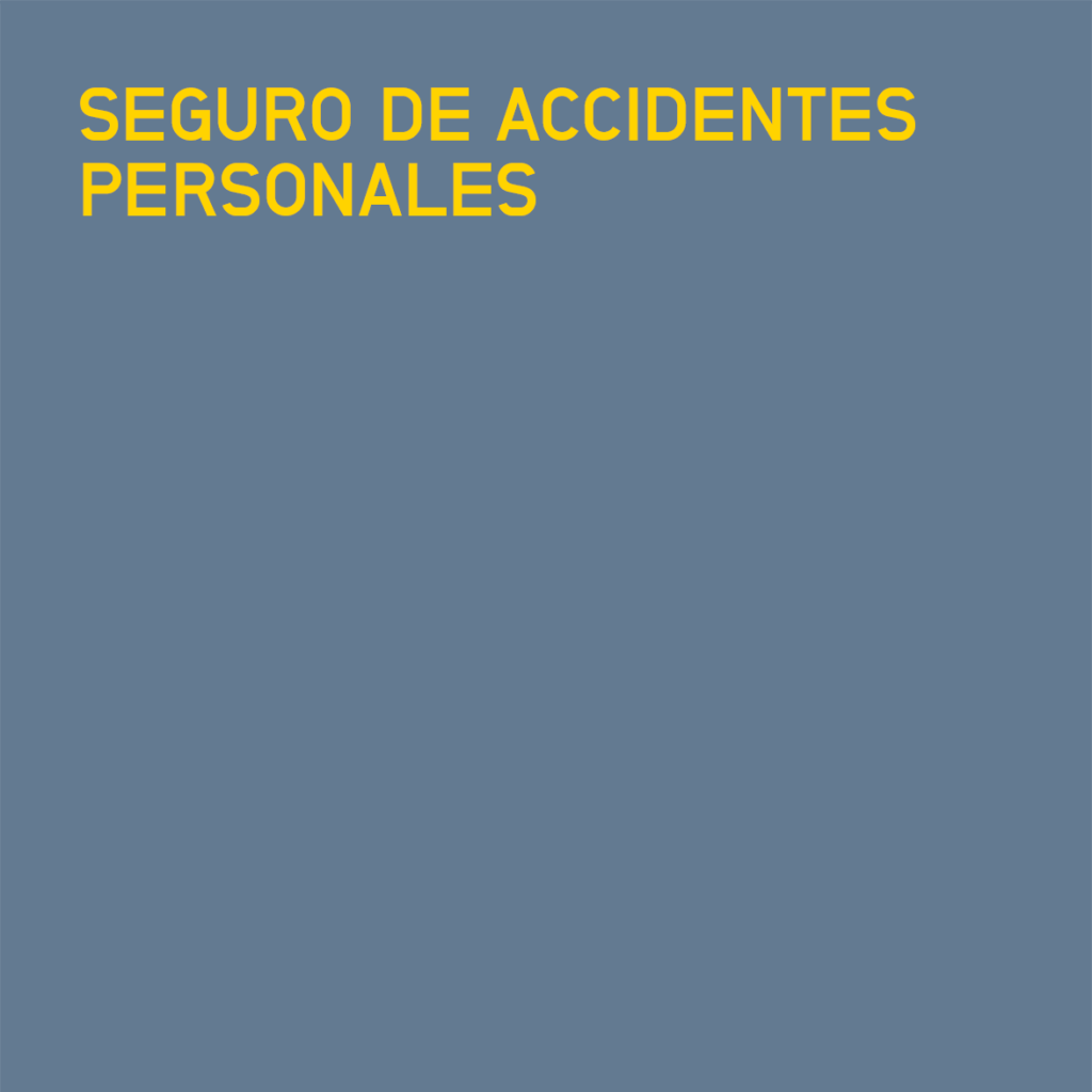 Seguro de Accidentes Personales